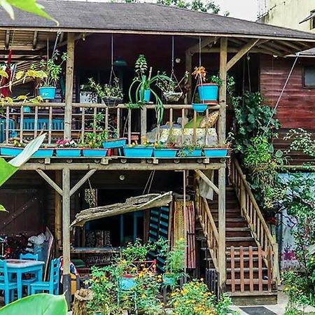 Wood House Hostel La Fortuna Kültér fotó