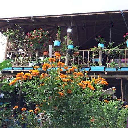 Wood House Hostel La Fortuna Kültér fotó