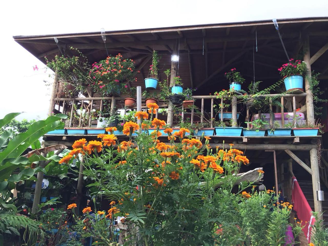 Wood House Hostel La Fortuna Kültér fotó