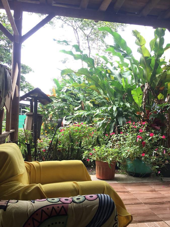 Wood House Hostel La Fortuna Kültér fotó