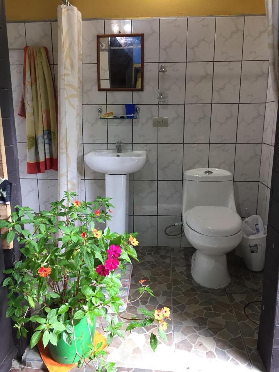 Wood House Hostel La Fortuna Kültér fotó