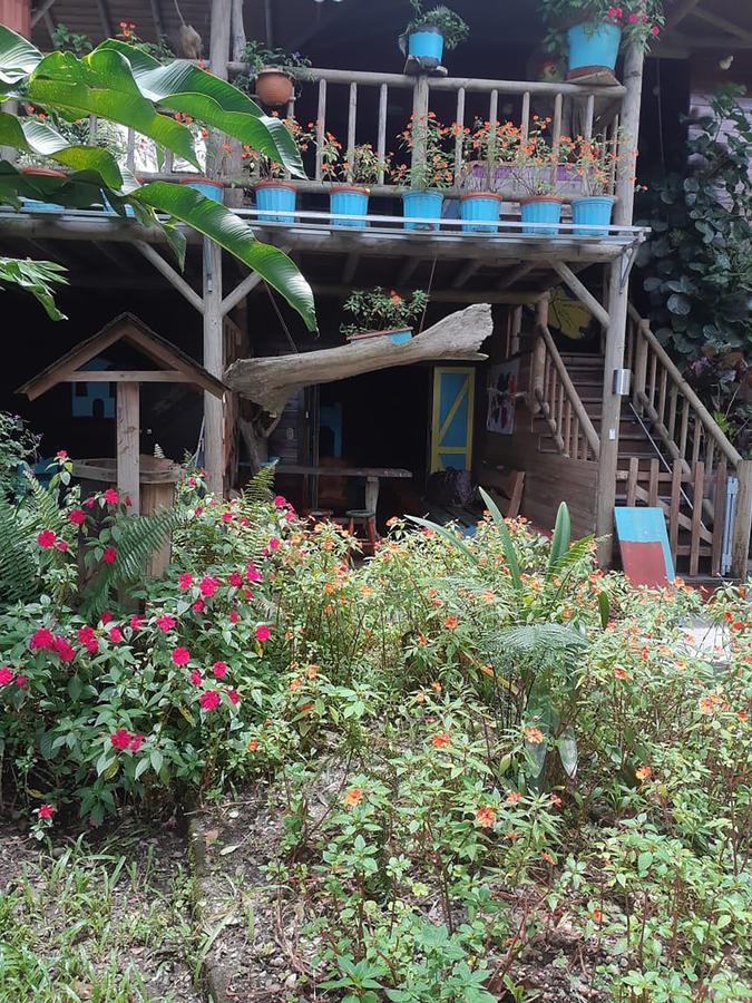 Wood House Hostel La Fortuna Kültér fotó