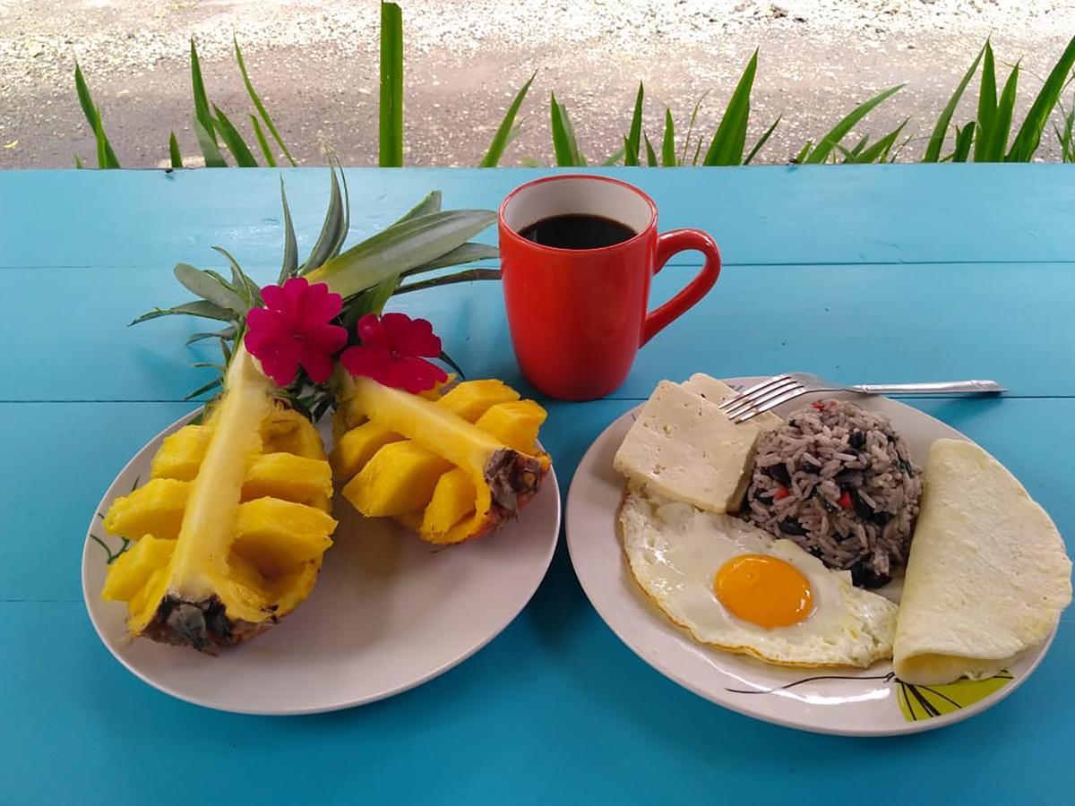 Wood House Hostel La Fortuna Kültér fotó